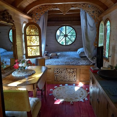 La Roulotte Du Petit Paradis Сен-Ремі-де-Прованс Екстер'єр фото